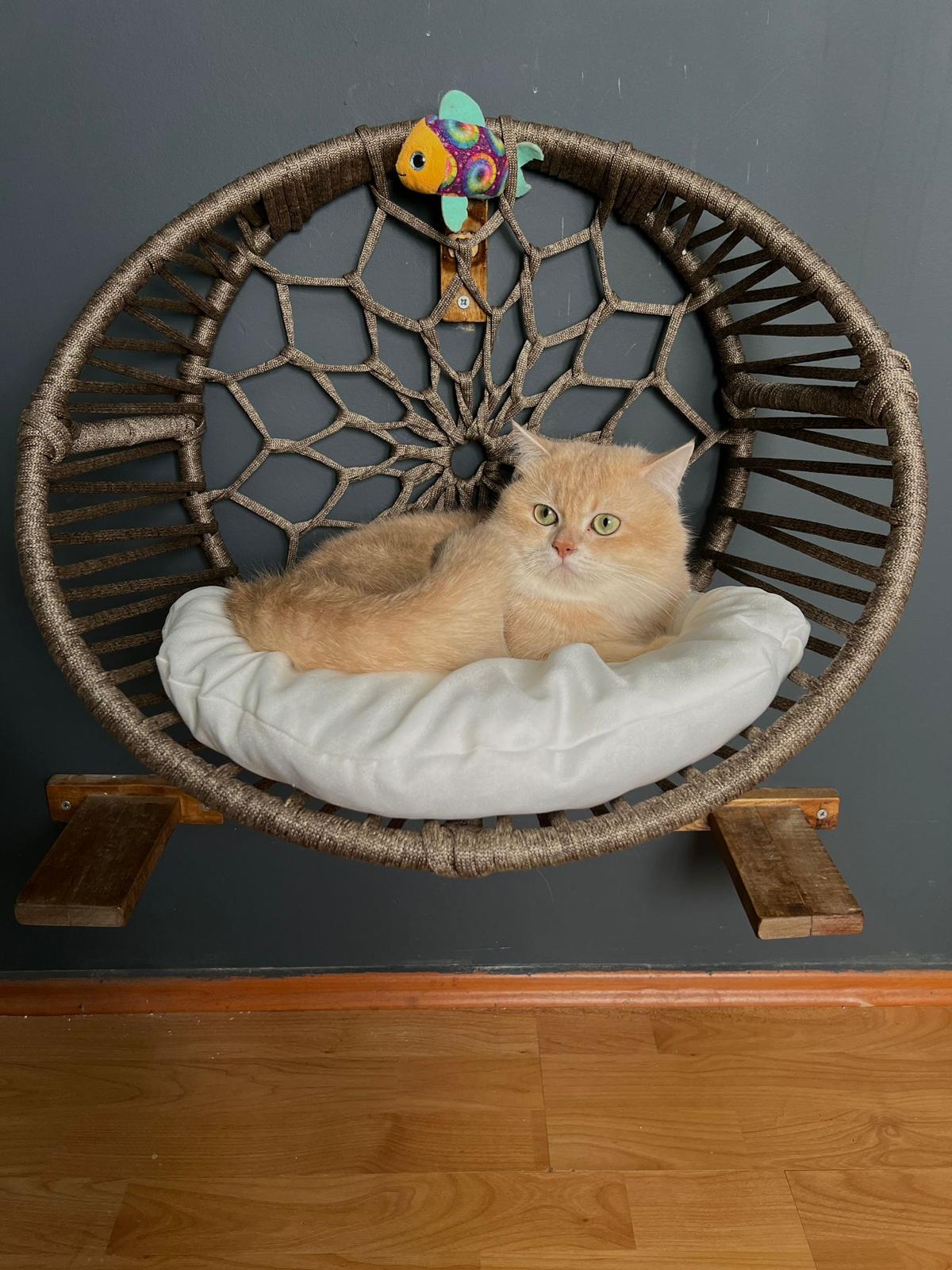 QUVA OLİPS PETEK KEDİ YATAĞI / DUVAR TİPİ DEKORATİF KEDİ YATAĞI