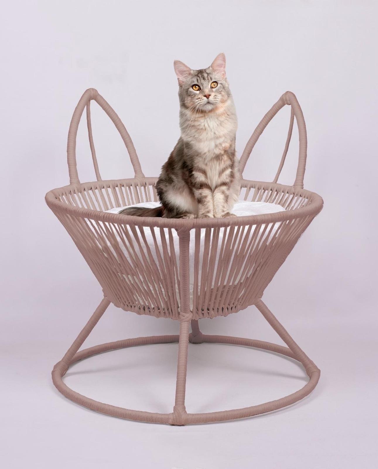 QUVA SAKSI MODEL KEDİ YATAĞI /DEKORATİF SAKSI KEDİ YATAĞI